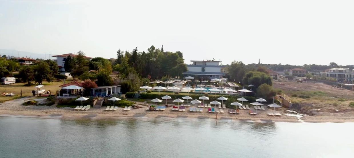 Kassandra Mare Hotel 네아 포티데아 외부 사진