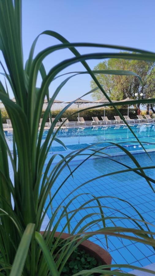 Kassandra Mare Hotel 네아 포티데아 외부 사진