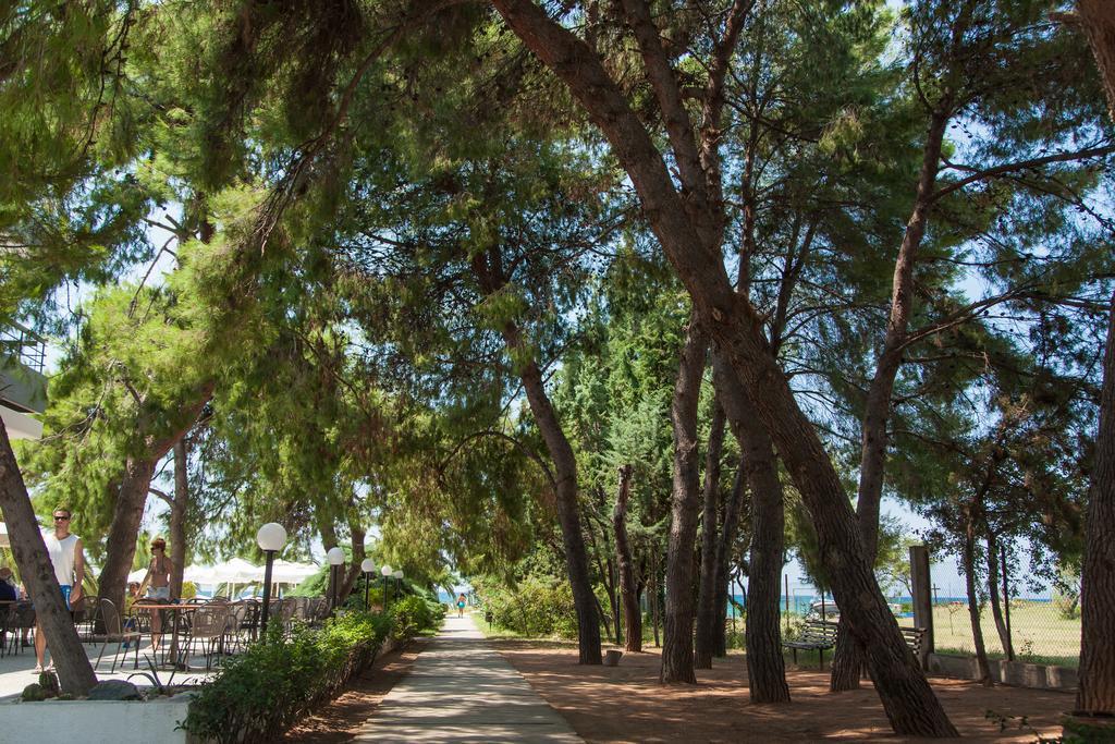 Kassandra Mare Hotel 네아 포티데아 외부 사진